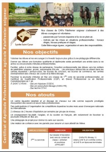 Fiche metier palefrenier